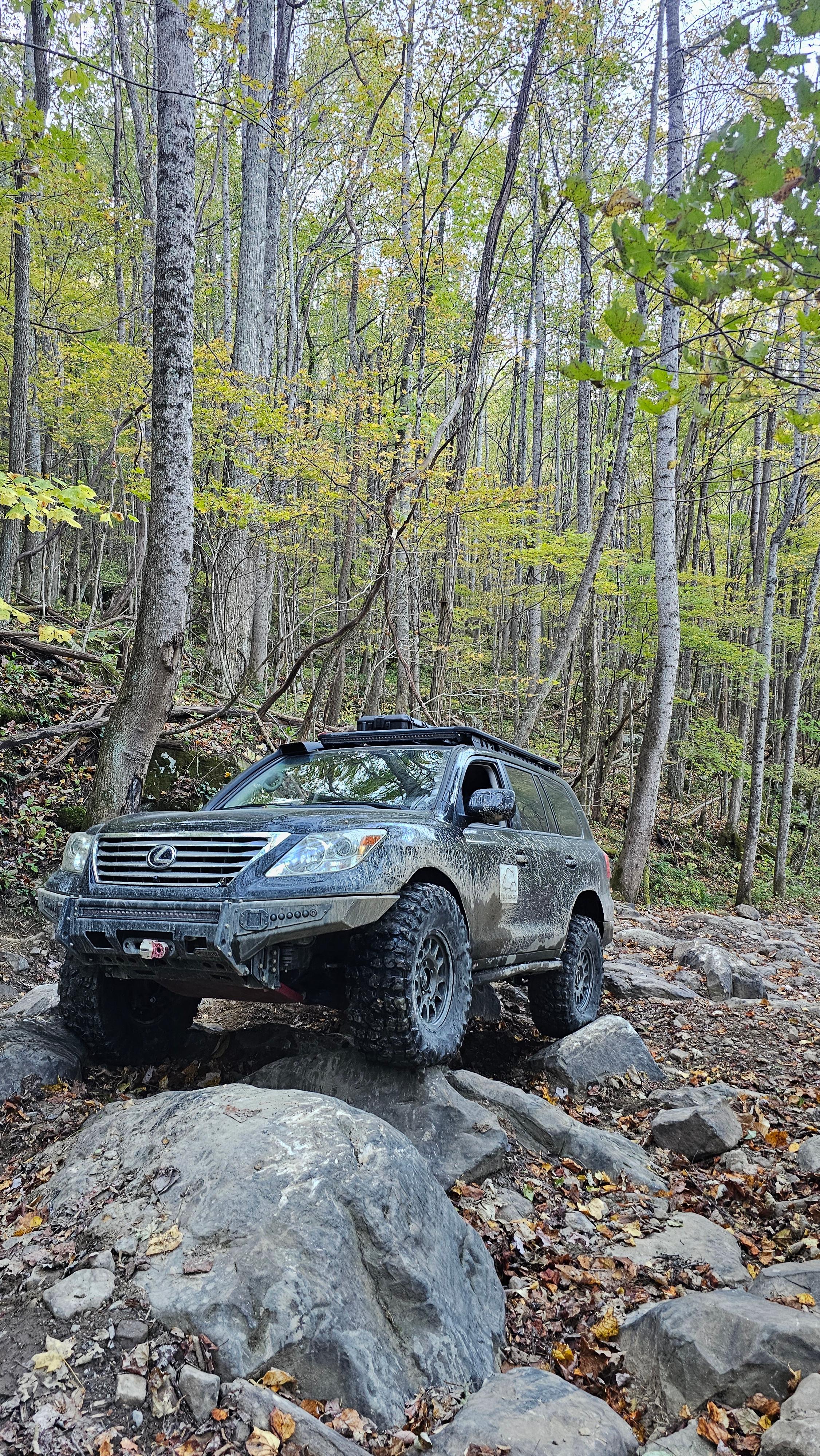 Lexus – Perry Parts